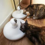 Alimentos Tóxicos Para Pets