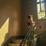 Cardiomiopatia Hipertrófica Felina (Hcm)