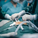 Castração Laparoscópica Em Pets