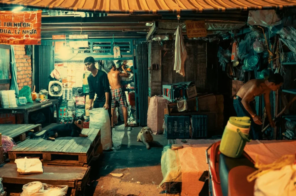 Displasia De Cotovelo Em Cães