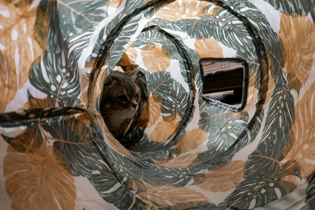 Enriquecimento Ambiental Para Gatos