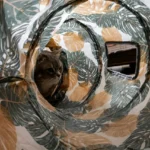 Enriquecimento Ambiental Para Gatos