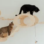 Espaço Vertical Para Gatos