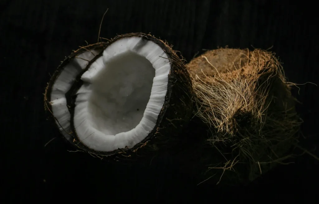 Fibra De Coco Para Terrário