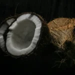 Fibra De Coco Para Terrário