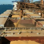 Gut-Loading De Insetos