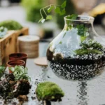 Musgo Esfagno Para Terrário