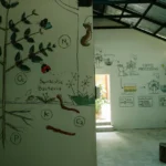 Relação Cálcio Fósforo Em Pets