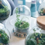 Umidade Relativa Em Terrários