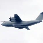 Agressividade Reativa Em Pets