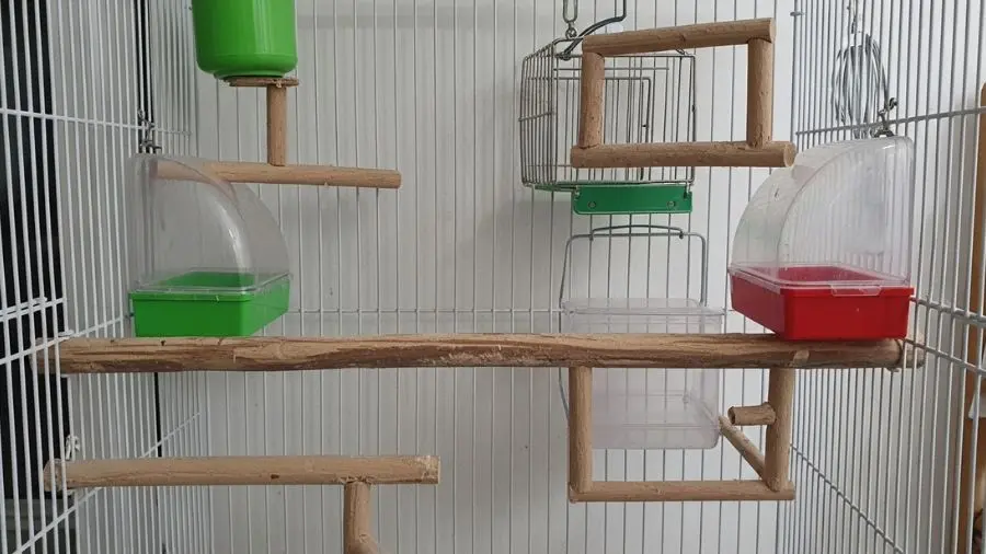 bird cage natural wood perches spacious indoor