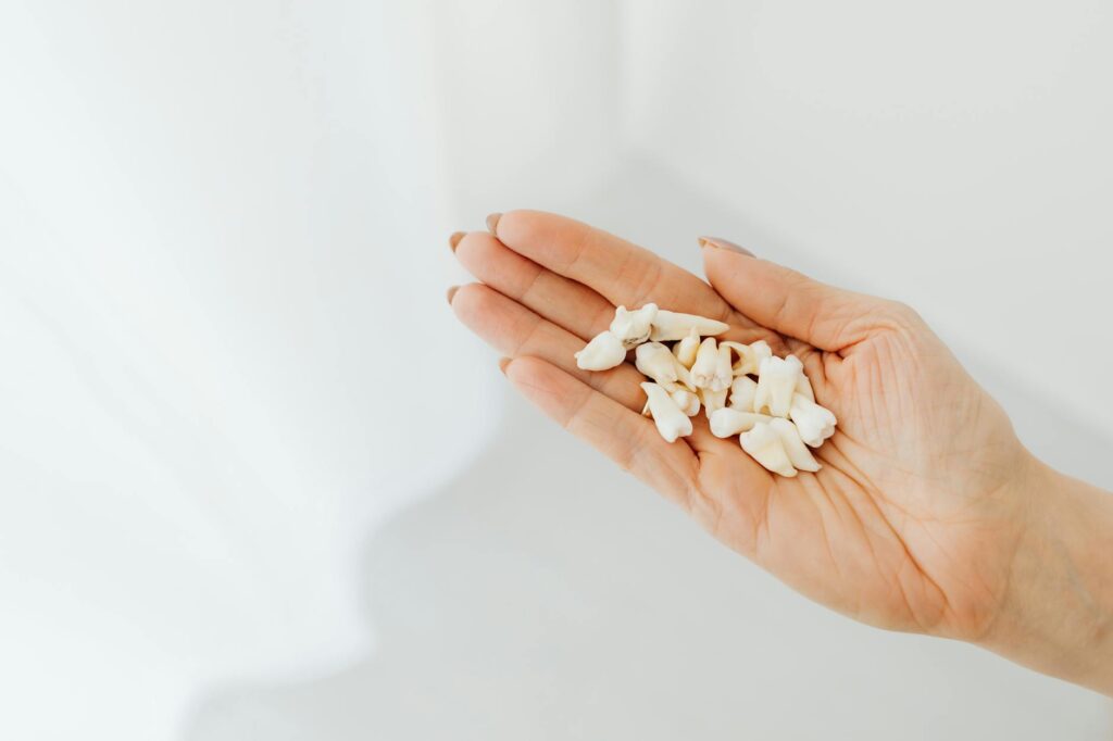 7 Curiosidades Sobre a Boca do Seu Pet