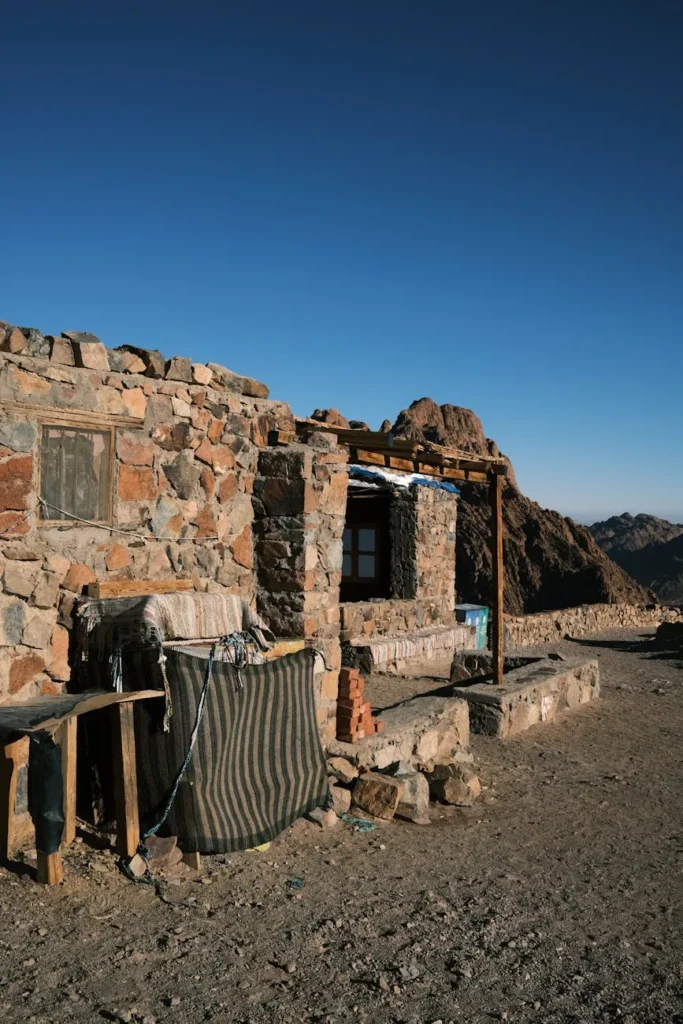 Sinais de hipertireoidismo em gatos e como agir