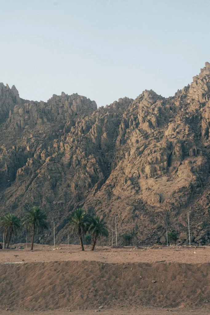 Sinais de próstata aumentada em cães e como agir