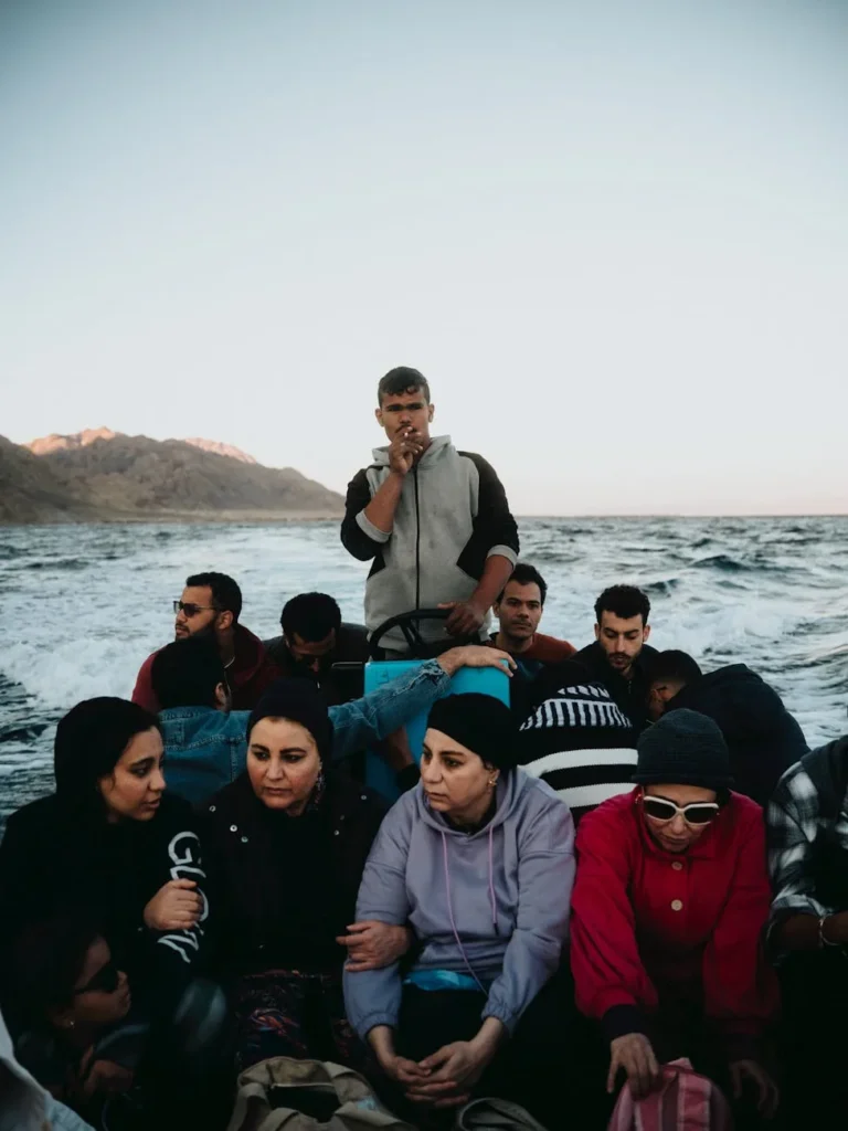 Sinais de estresse crônico no seu pet e como agir