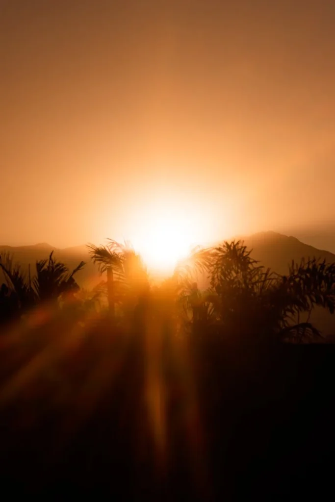Bengal não é para todo mundo