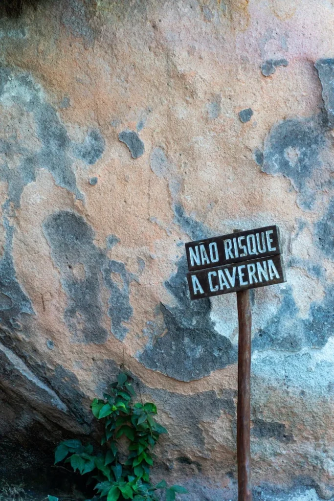 Raças que não vão destruir seu apê