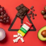 Alimentos
