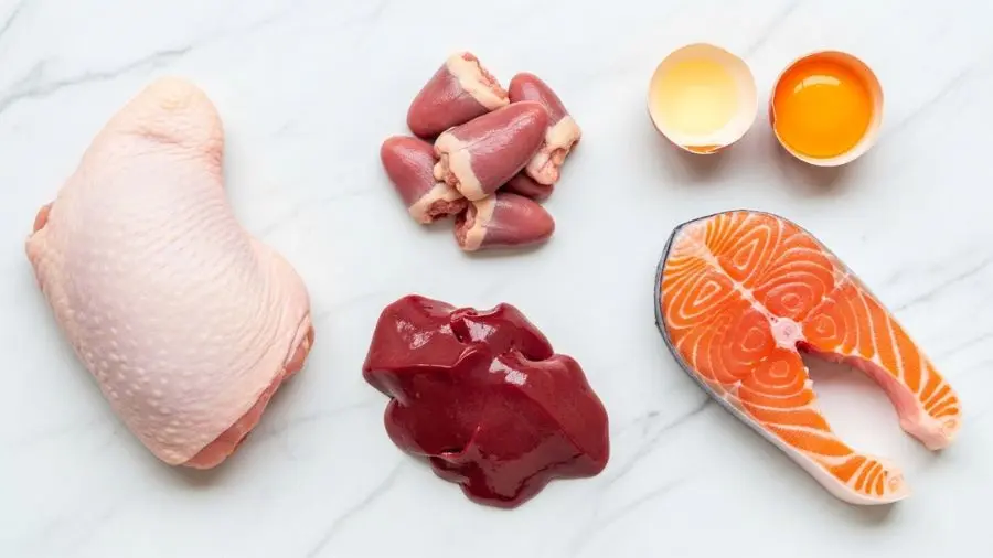 "ingredientes para alimentação natural de gatos coxa de frango coração fígado filé de salmão e gema de ovo" 