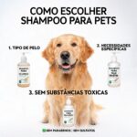 Saúde Animal