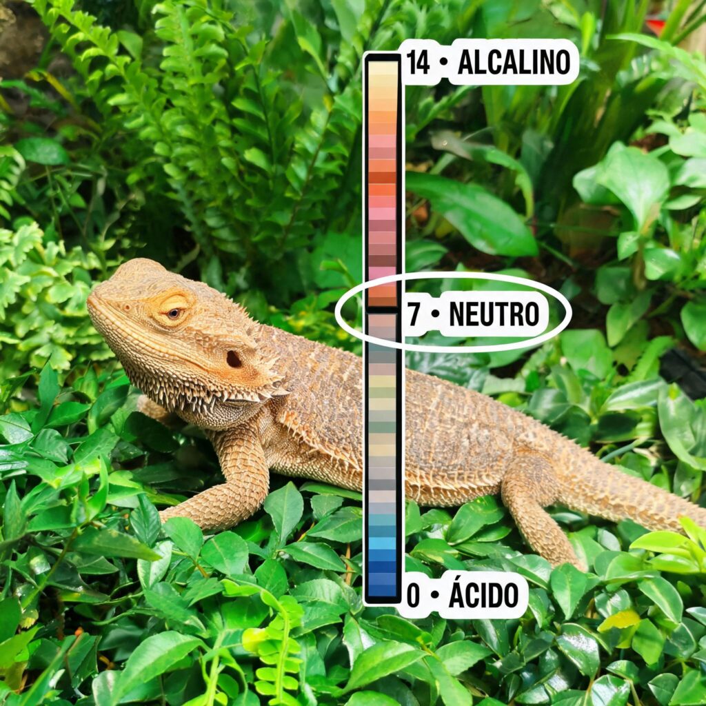 Ph Neutro Pet