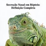Secreção Nasal Em Répteis