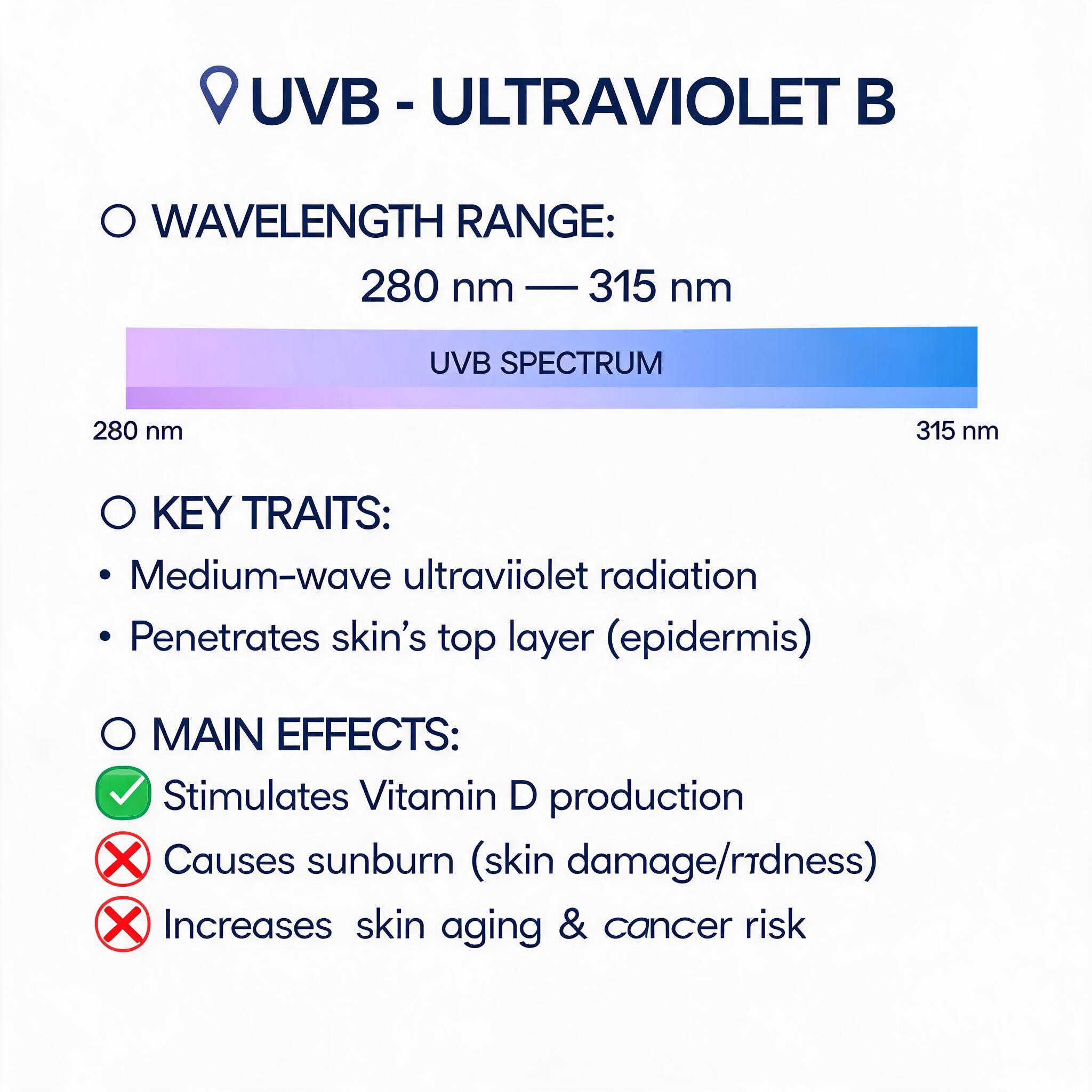 uv lamp reptile